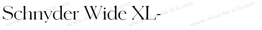Schnyder Wide XL字体转换